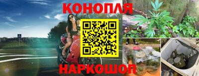 прущий лед Пушкино