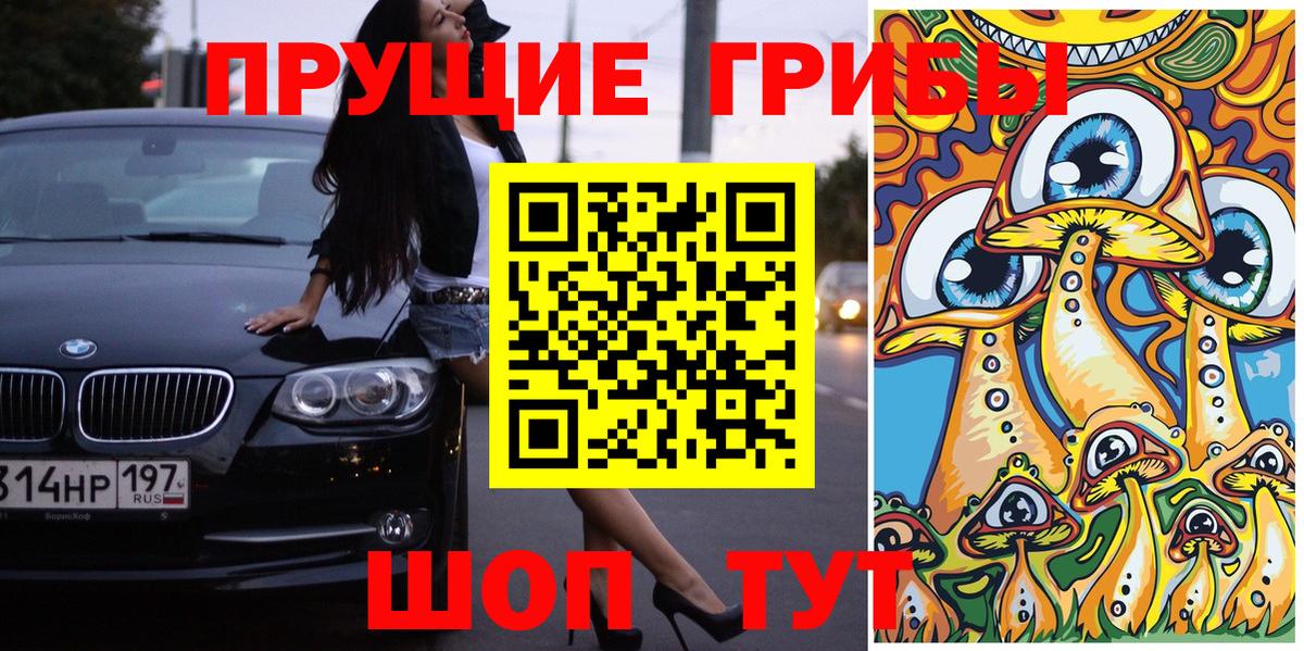 Осинники  Псилоцибиновые грибы GOLDEN TEACHER  что такое наркотик  Вход с VPN 