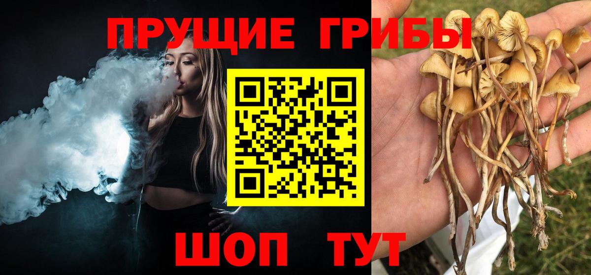Галлюциногенные грибы прущие грибы Осинники